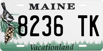ME license plate 8236TK