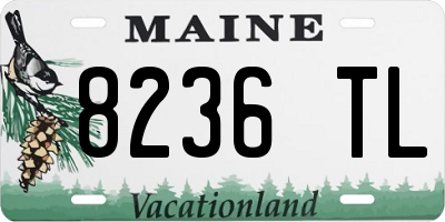 ME license plate 8236TL