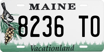 ME license plate 8236TO