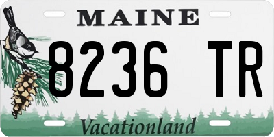 ME license plate 8236TR