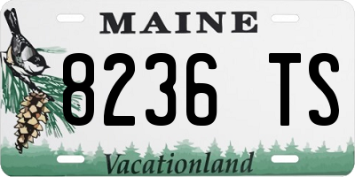 ME license plate 8236TS
