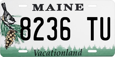 ME license plate 8236TU