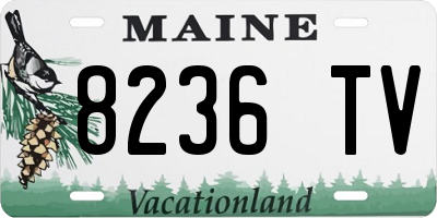 ME license plate 8236TV