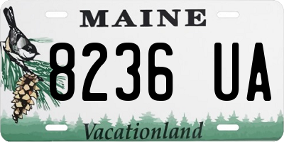 ME license plate 8236UA