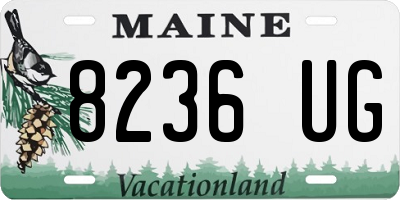 ME license plate 8236UG