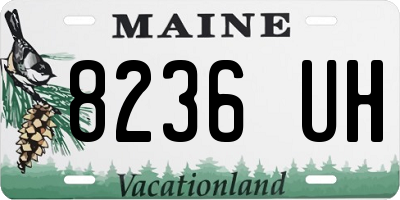ME license plate 8236UH