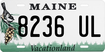 ME license plate 8236UL