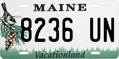 ME license plate 8236UN