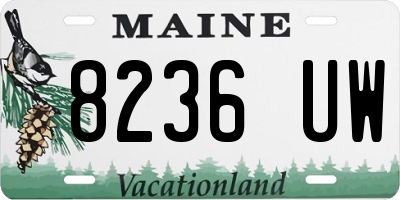 ME license plate 8236UW