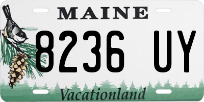 ME license plate 8236UY