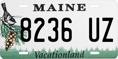 ME license plate 8236UZ