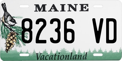 ME license plate 8236VD