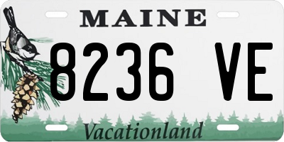 ME license plate 8236VE