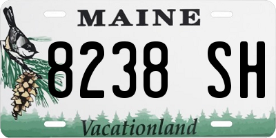 ME license plate 8238SH