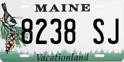 ME license plate 8238SJ