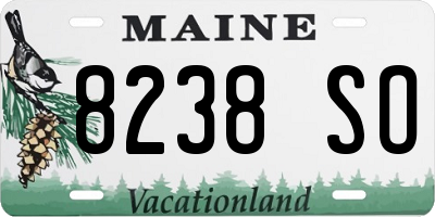 ME license plate 8238SO