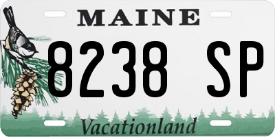 ME license plate 8238SP