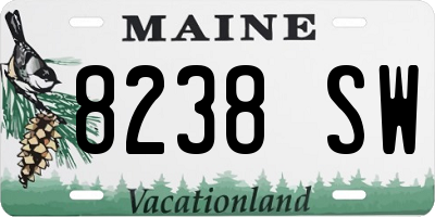 ME license plate 8238SW
