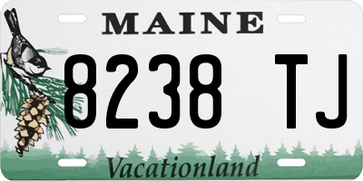ME license plate 8238TJ
