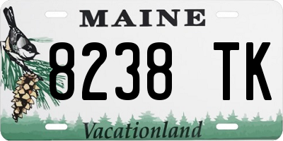 ME license plate 8238TK