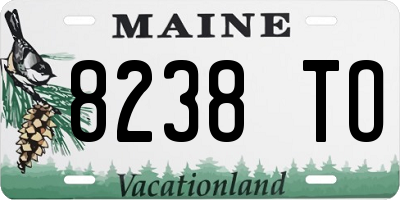 ME license plate 8238TO