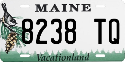 ME license plate 8238TQ