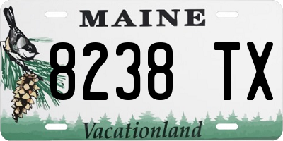 ME license plate 8238TX