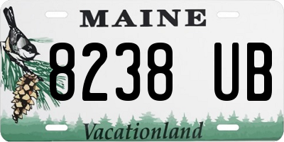 ME license plate 8238UB