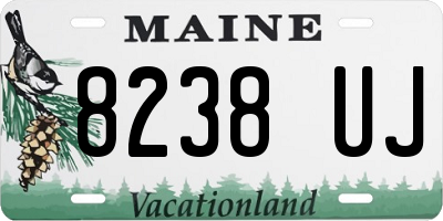 ME license plate 8238UJ