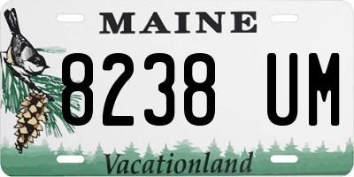 ME license plate 8238UM
