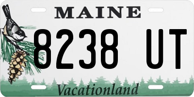 ME license plate 8238UT