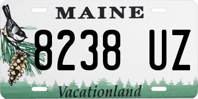 ME license plate 8238UZ