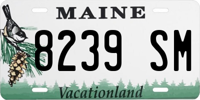 ME license plate 8239SM