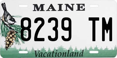 ME license plate 8239TM