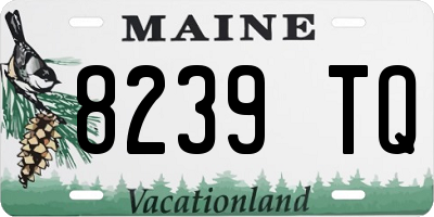 ME license plate 8239TQ