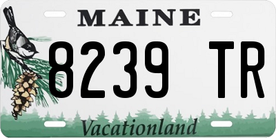 ME license plate 8239TR