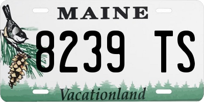 ME license plate 8239TS