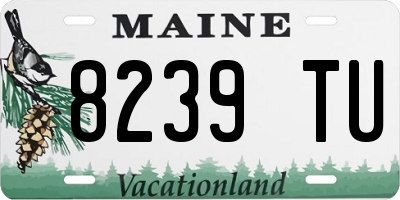 ME license plate 8239TU