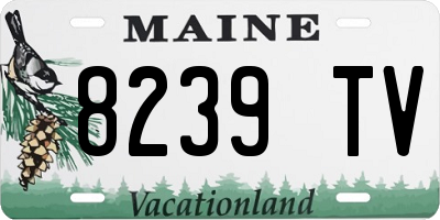 ME license plate 8239TV