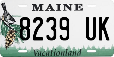 ME license plate 8239UK