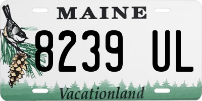ME license plate 8239UL