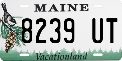 ME license plate 8239UT