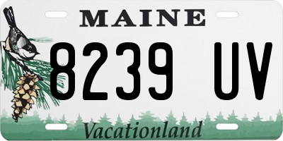 ME license plate 8239UV