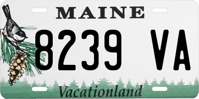 ME license plate 8239VA