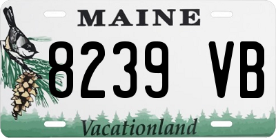 ME license plate 8239VB