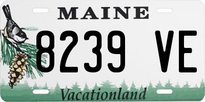 ME license plate 8239VE