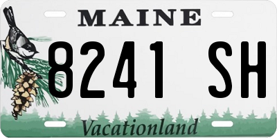 ME license plate 8241SH