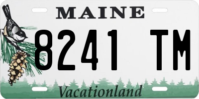 ME license plate 8241TM