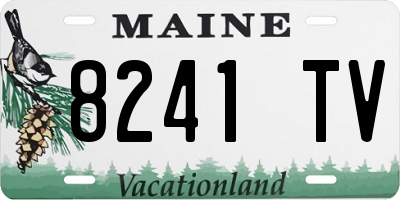 ME license plate 8241TV