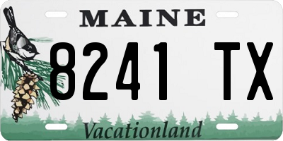ME license plate 8241TX